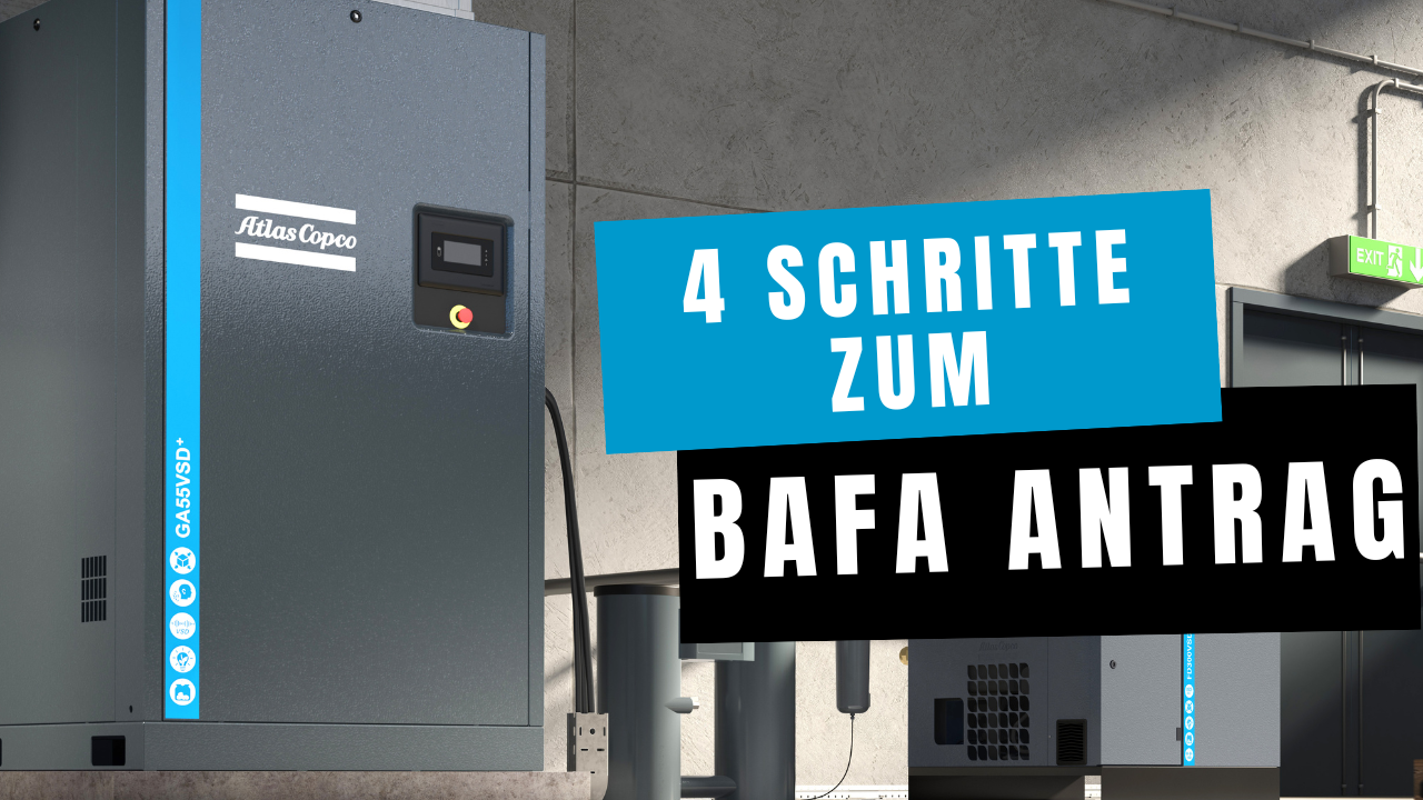 Bafa Auszahlung Erfahrungen
