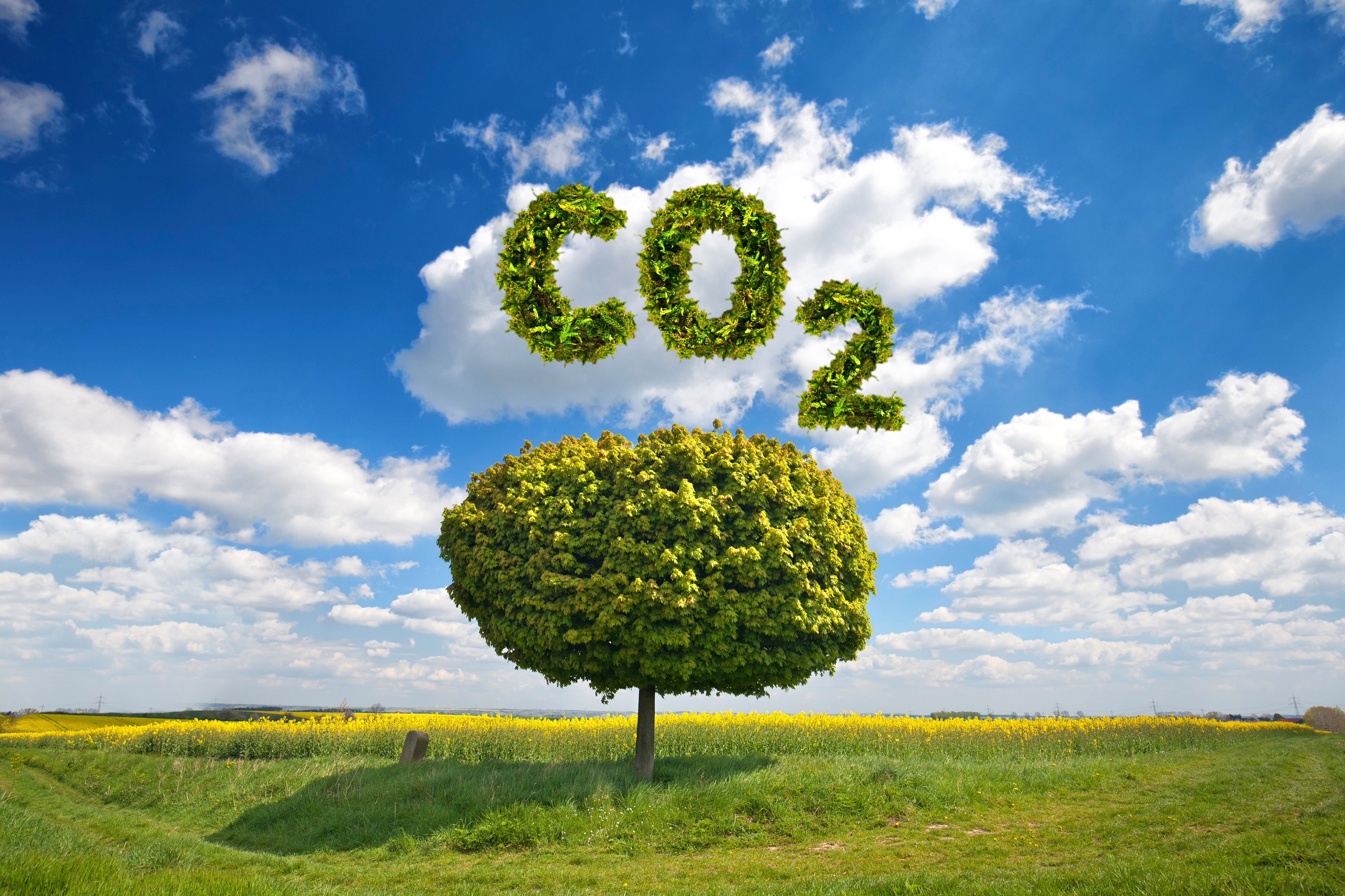CO2-Emissionen-CO2-Steuer