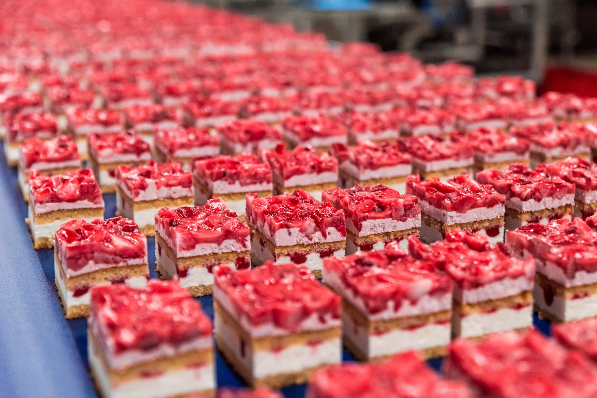 Coppenrath_Wiese_Erdbeerkuchen Coppenrath_Wiese_Erdbeerkuchen