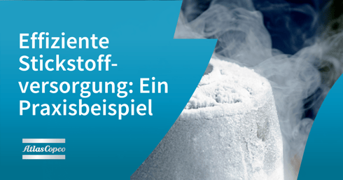 Effiziente Stickstoffversorgung Ein Praxisbeispiel