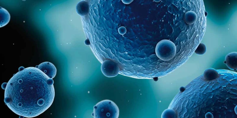 Lebensmittelindustrie_img_20