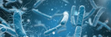 medical-illustration-bacteria-cells (1)