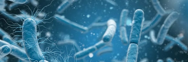 medical-illustration-bacteria-cells (1)