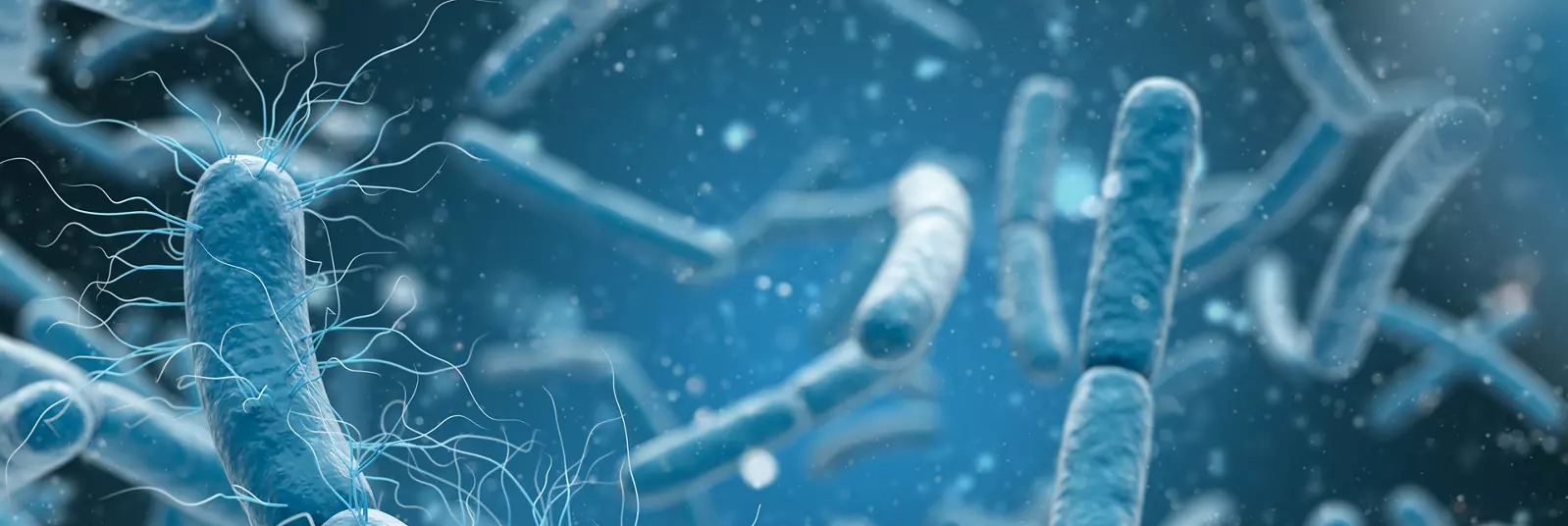 medical-illustration-bacteria-cells medical-illustration-bacteria-cells